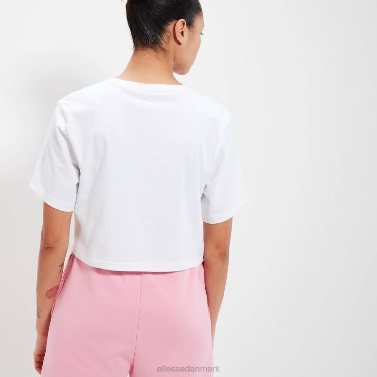 Ellesse Kvinder beneventi croppd t-shirt J282F56 tøj hvid