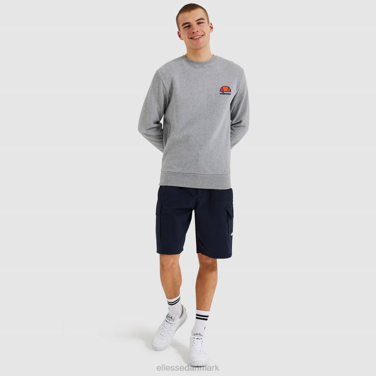 Ellesse Mænd Diveria sweatshirt J282F307 tøj grå mergel