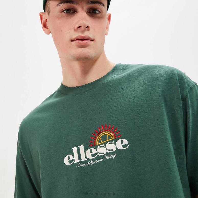 Ellesse Mænd aestas t-shirt J282F347 tøj mørkegrøn