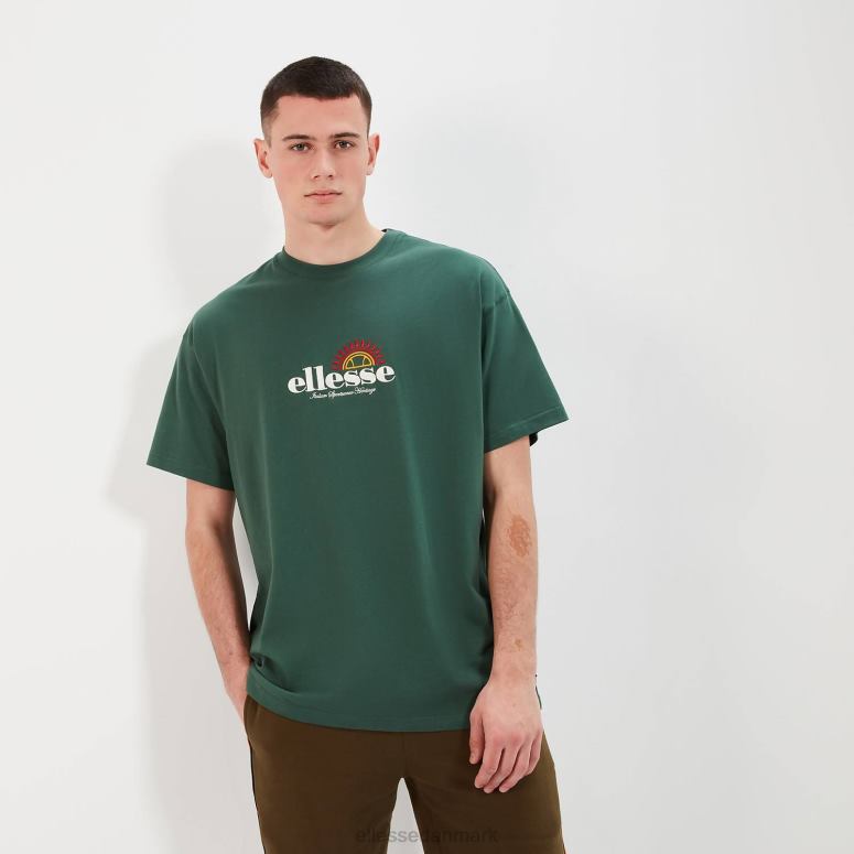 Ellesse Mænd aestas t-shirt J282F347 tøj mørkegrøn