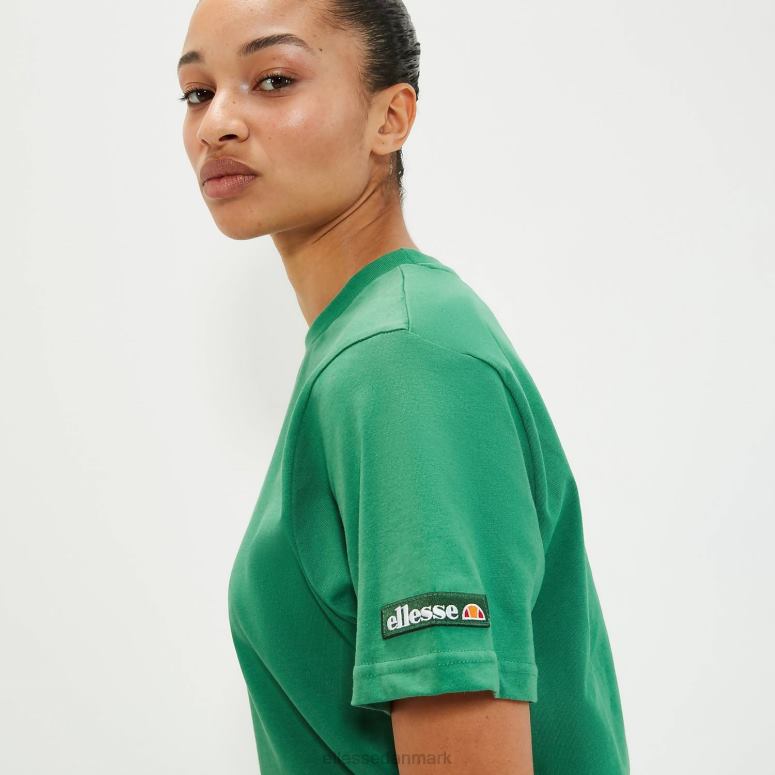 Ellesse unisex melodi tee J282F80 tøj grøn