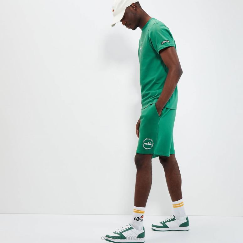 Ellesse unisex melodi tee J282F80 tøj grøn