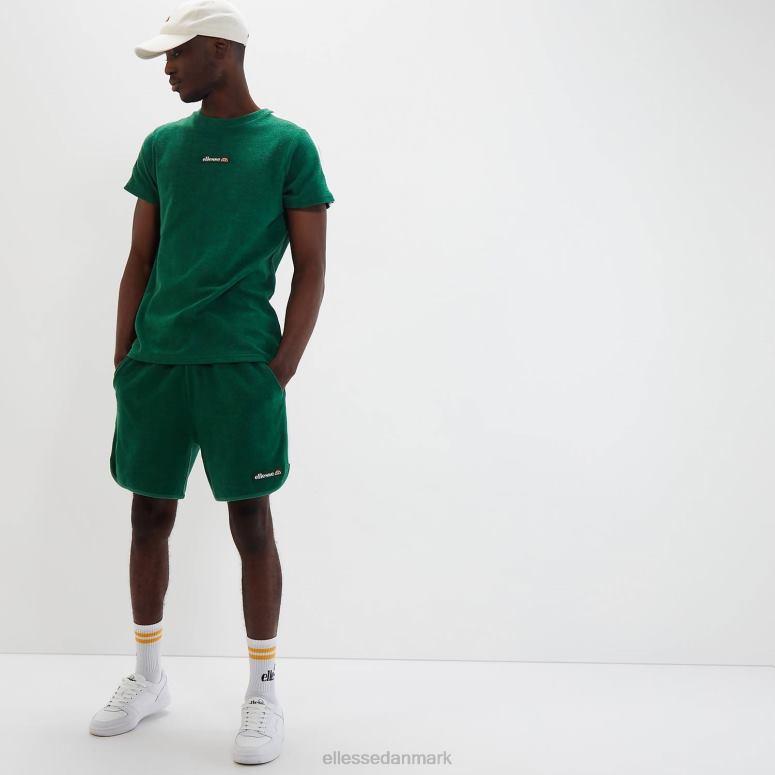 Ellesse unisex piaria t-shirt J282F79 tøj grøn